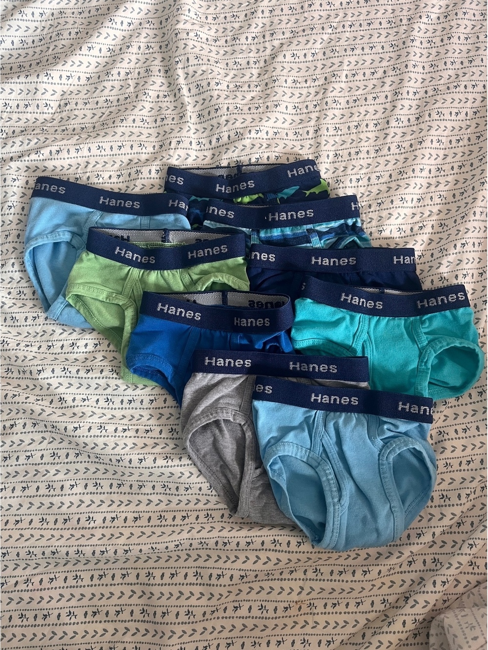 Hanes Boys' Briefs Underwear 10-Pack Size 2T